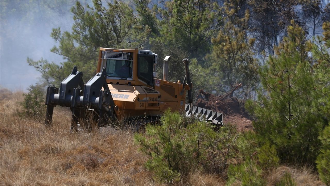 Bozcaada'da Tarım Arazisinde Yangın Çıktı