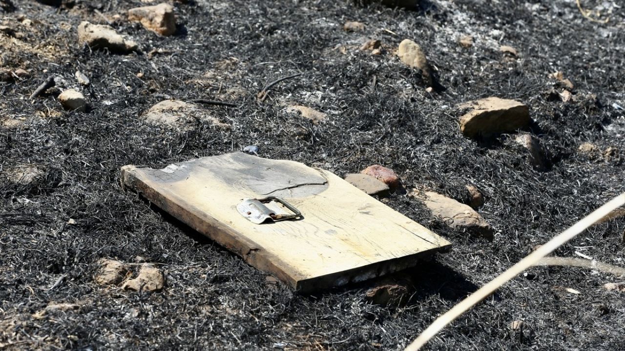 Yatağan Orman Yangını ile İlgili Baba ve Oğlu Adliyeye Sevk Edildi