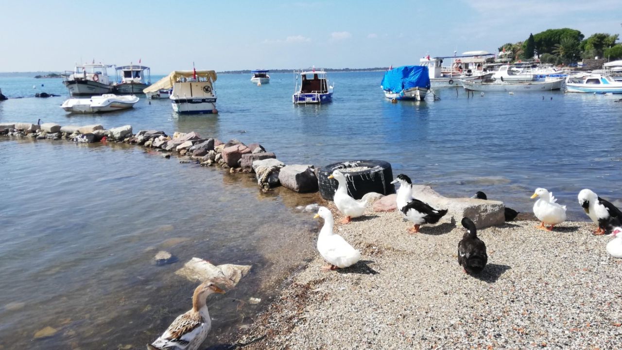 İzmir'in en güzel köyleri tek listede!