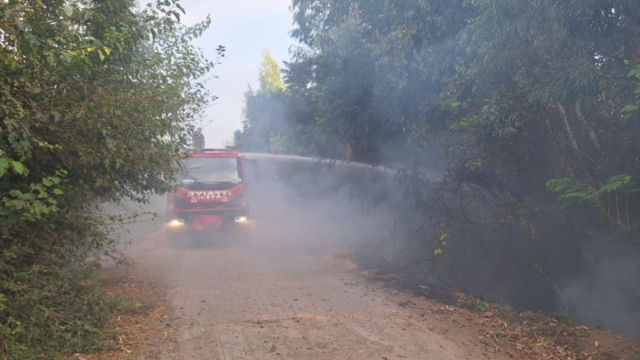 Osmaniye Kadirli'deki Orman Yangını Kontrol Altına Alındı