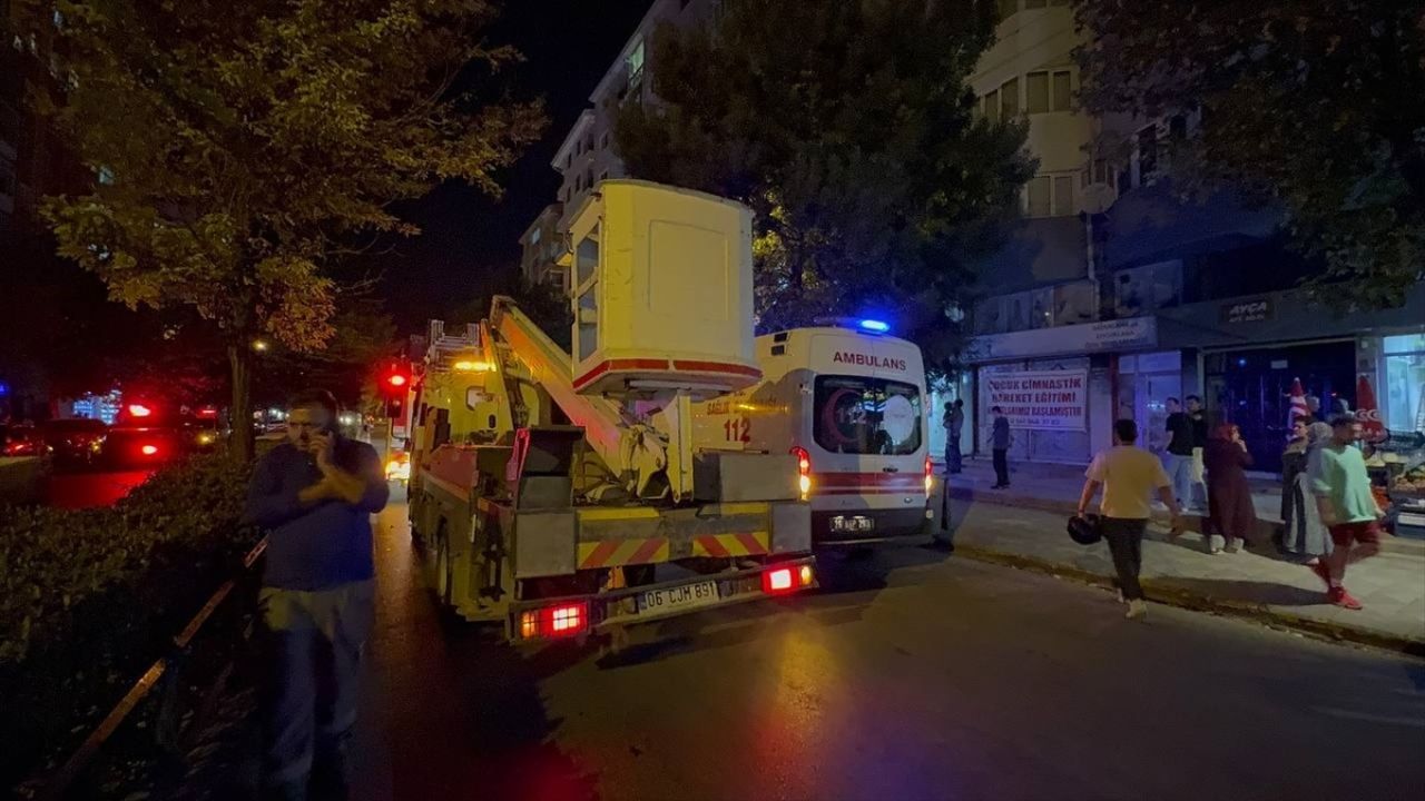 Eskişehir'de Yangın Felaketi: 2 Kedi Hayatını Kaybetti