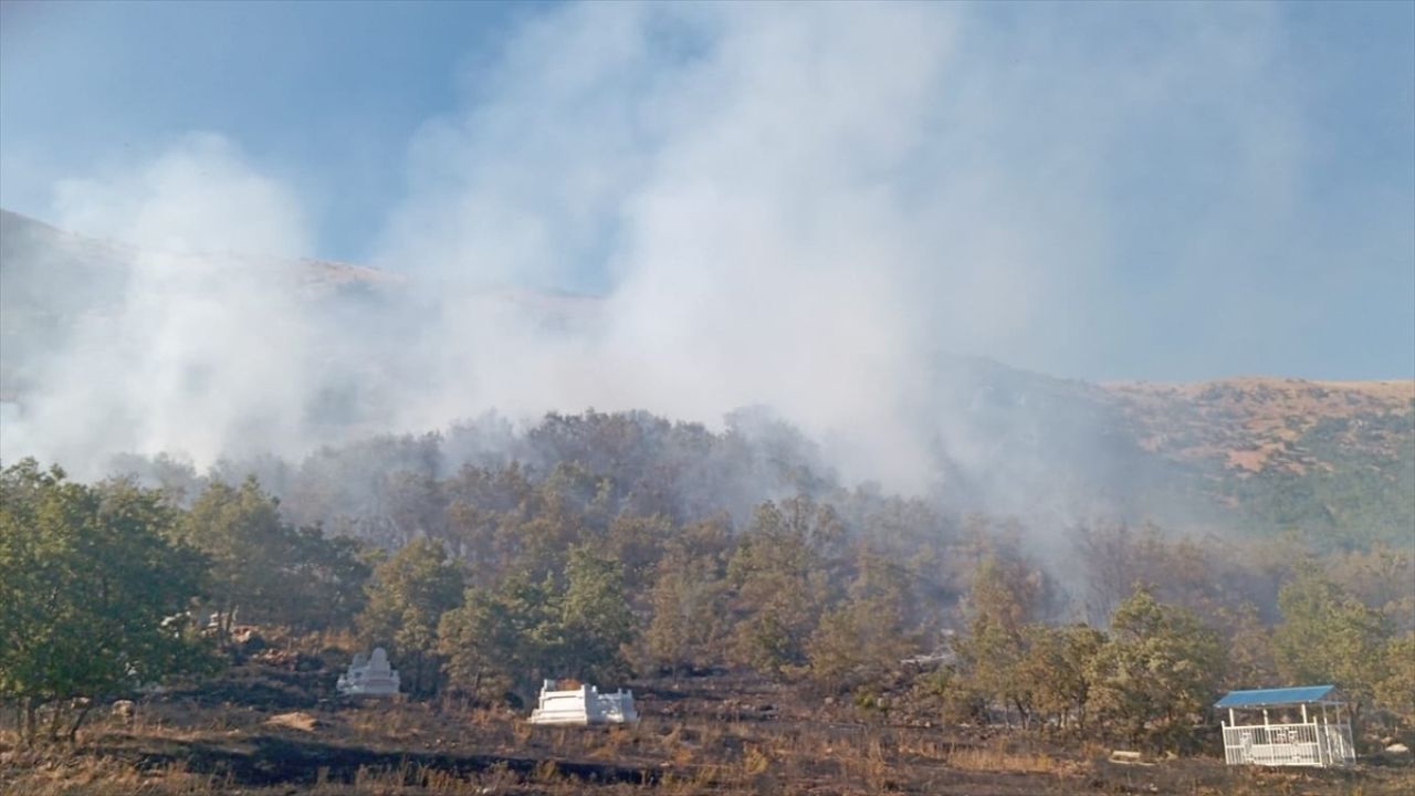 Tunceli'de Orman Yangınına Müdahale Başlatıldı