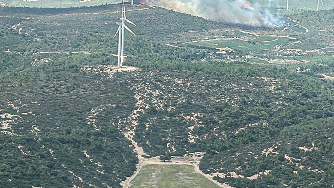 Urla'da Orman Yangınına Hızla Müdahale Edildi