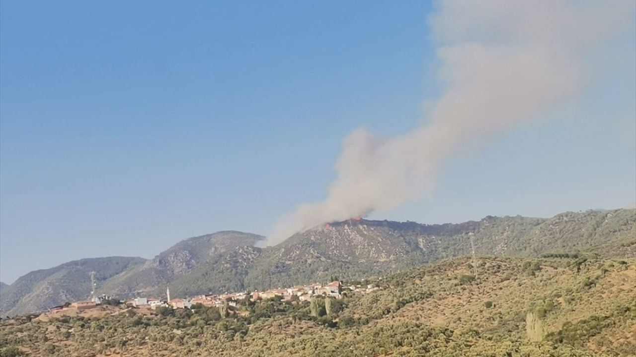 Milas'ta Orman Yangınına Hızlı Müdahale