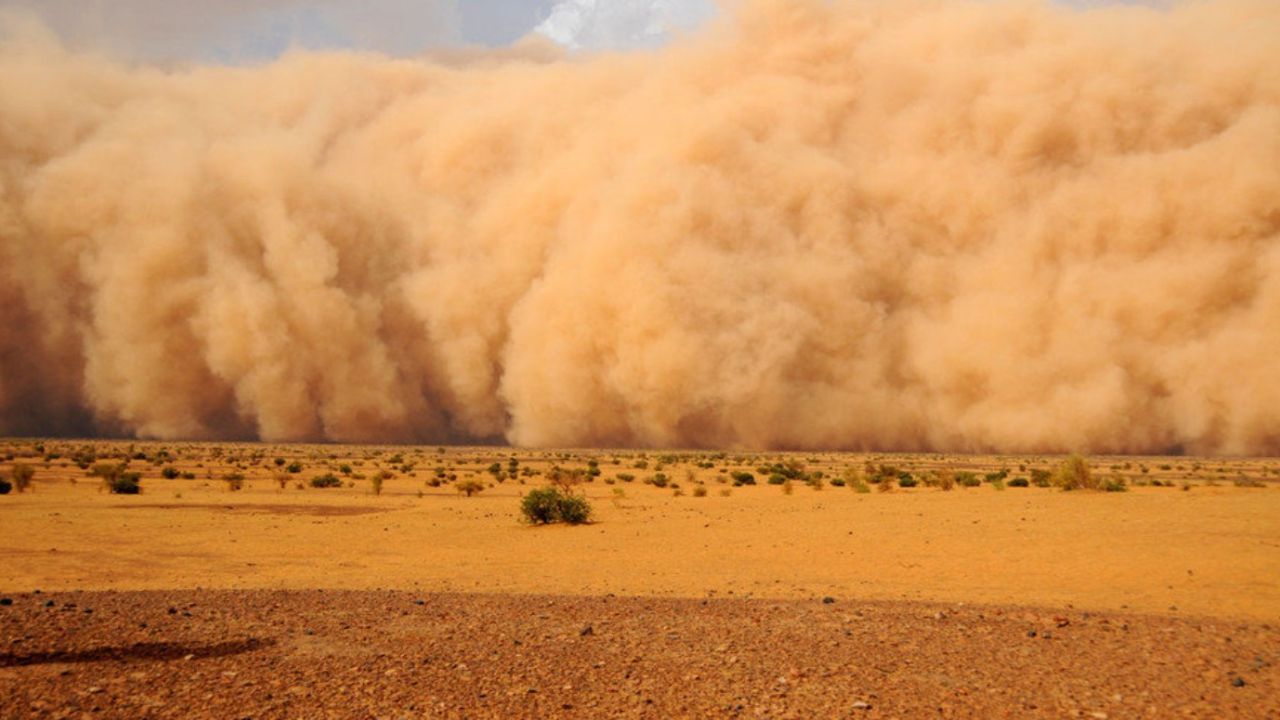 Kronik hastalığı olanlar dikkat: İzmir'de çöl tozu etkileri sürüyor