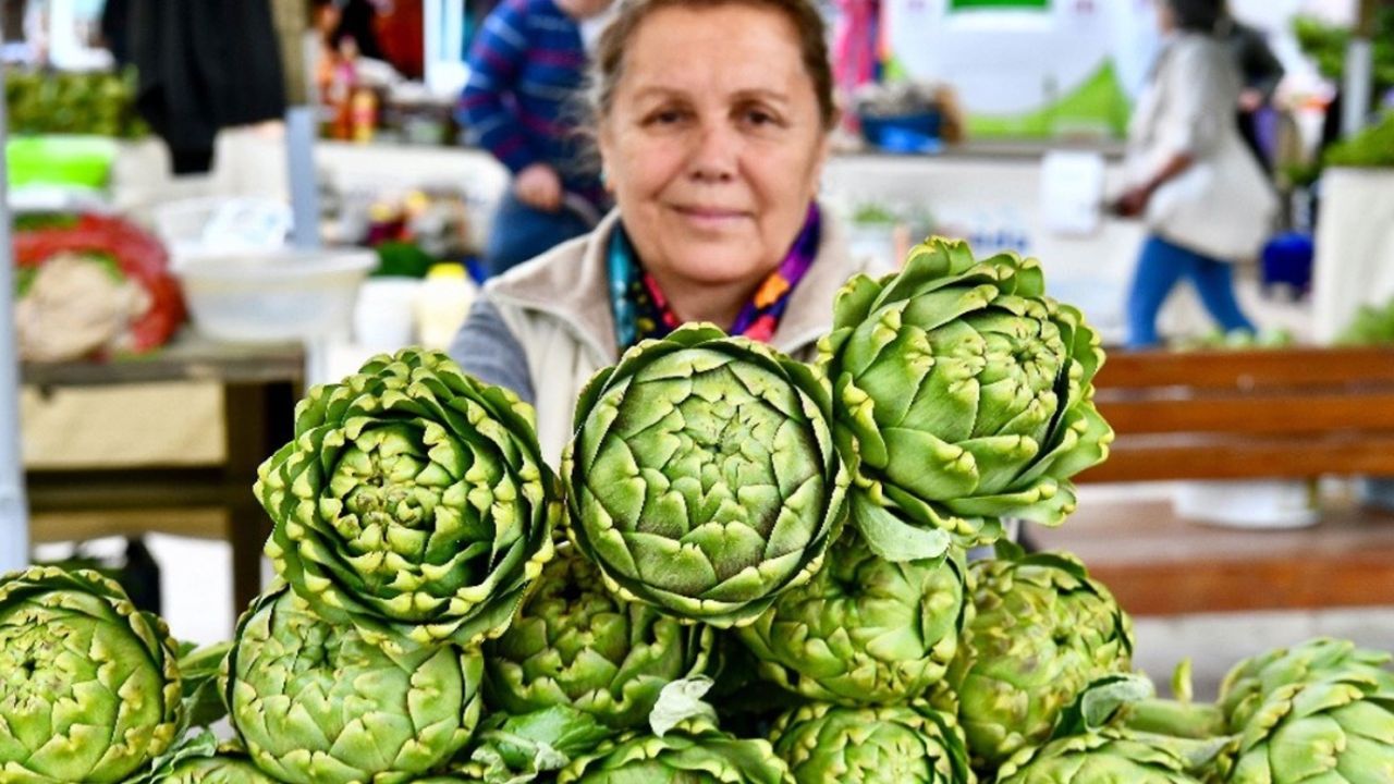 Urla'da 10. Uluslararası Enginar Festivali için hazırlıklar başladı