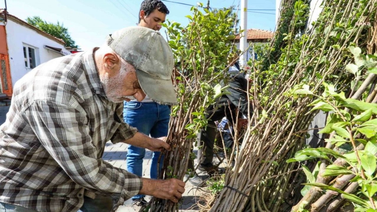 Buca Belediyesi üreticilere meyve fidanı dağıttı