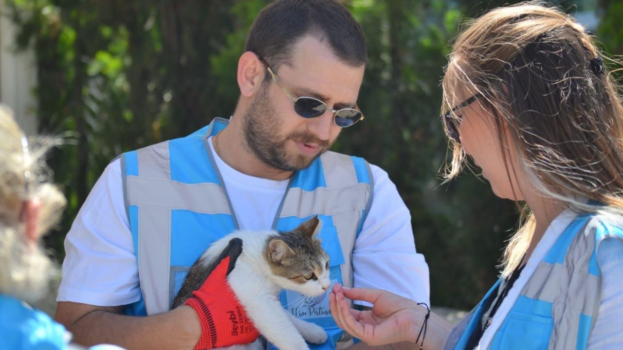 Seferihisar'da sokak hayvanları seferberliği: Tek tek tedavi edilecek