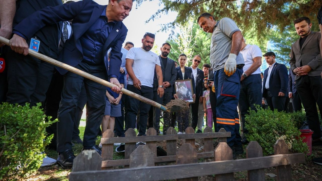 CHP'nin Kedisi Şero, Genel Merkez Bahçesine Gömüldü
