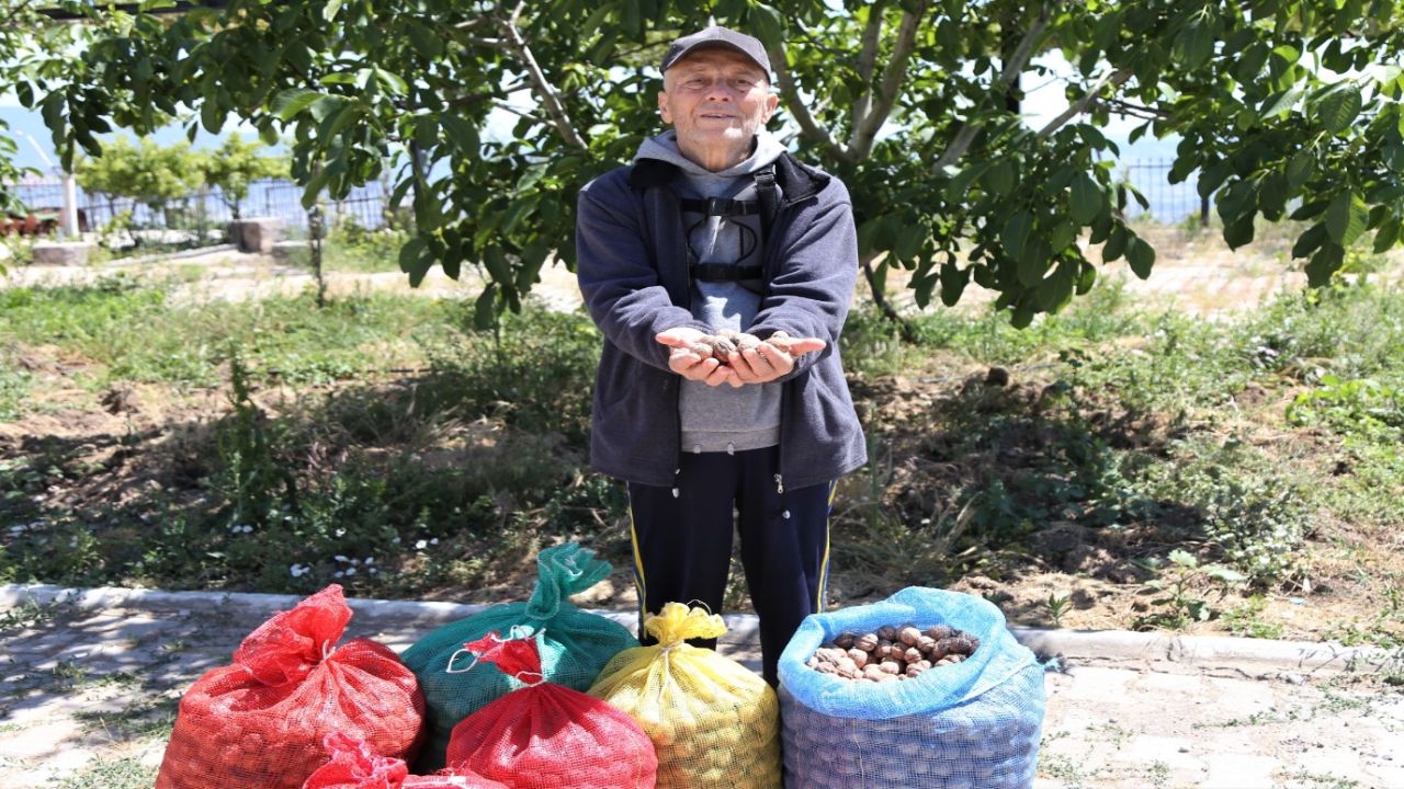 Bornova Belediyesi'nden mahsülünü satamayan çiftçiye tam destek