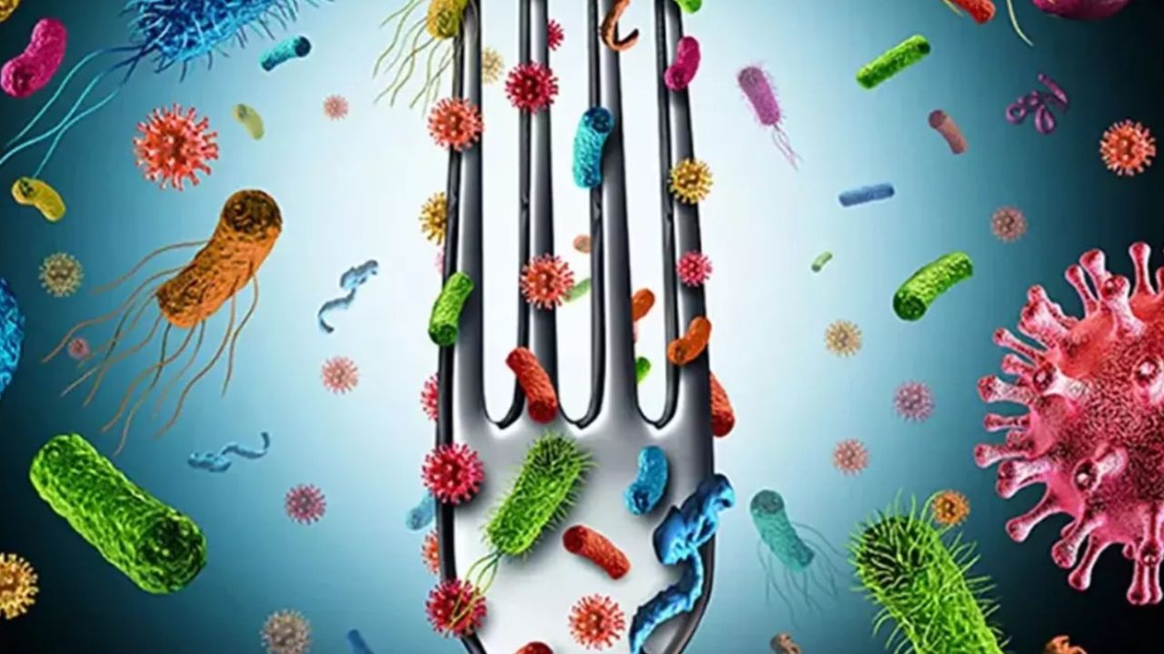 Sağlık Bakanlığı gıda zehirlenmelerine karşı uyardı