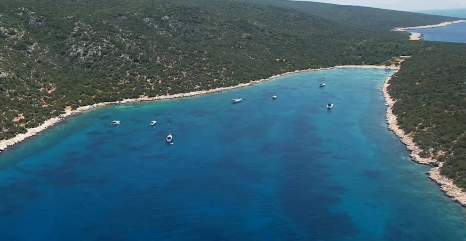 URLA