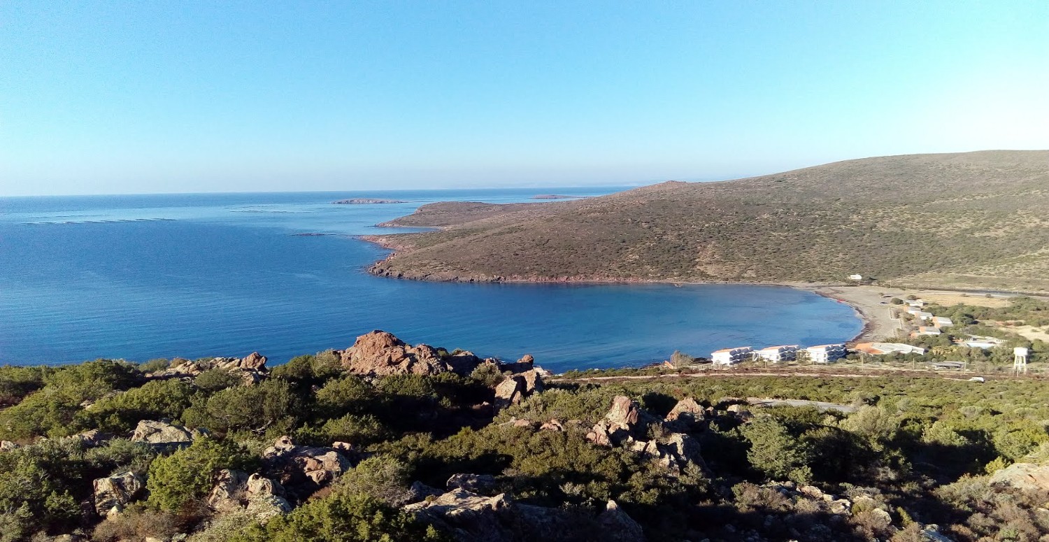 urla zeytineli köyü
