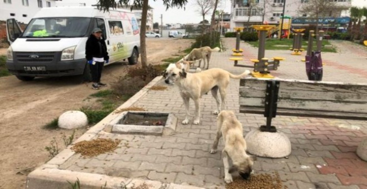 Çiğli