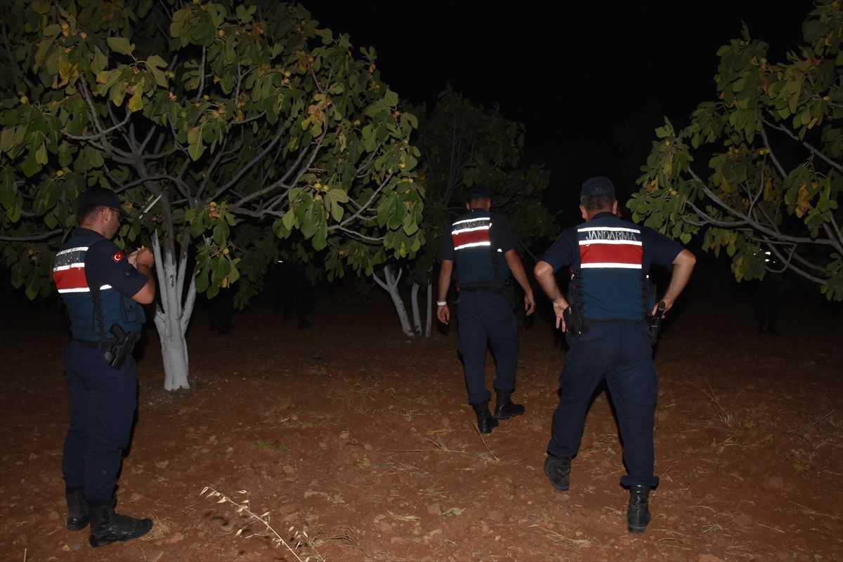 Aydın'ın Germencik ilçesinde jandarma ekiplerince incir ve zeytin bahçelerindeki hırsızlıkların...